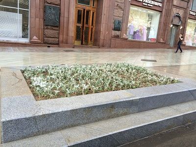 "Могилки" на реконструированной Тверской. Фото www.facebook.com/profile.php?id=100001709022803 "Могилки" на реконструированной Тверской. Фото www.facebook.com/profile.php?id=100001709022803